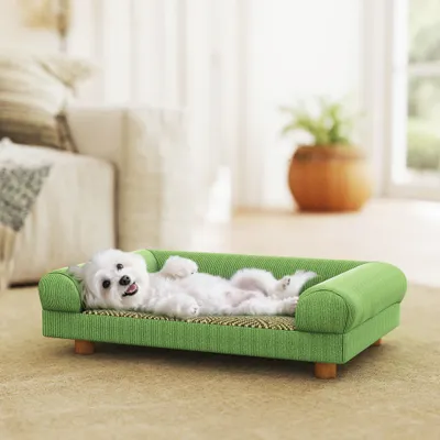 Canapé pour chien lit pour chien surélevé Canapé pour chien lit pour chien surélevé