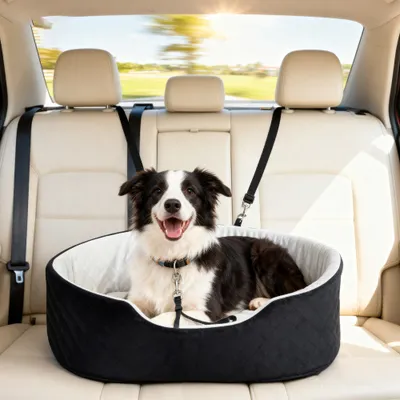 Siège auto pour chien avec ceinture