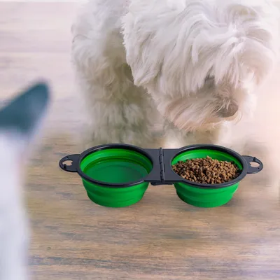 2 en 1 Pliant Bol en Plastique pour Chien