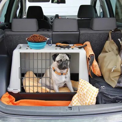 Gamelles Pliables bols Avec Couvercle chiens Bols