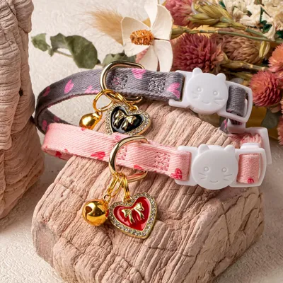 Collier de sécurité pour chat avec clochette