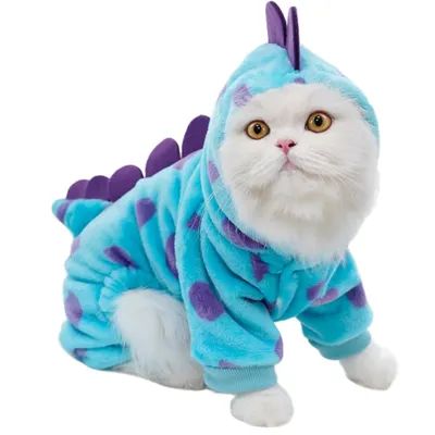 Déguisements de dinosaures pour chats amusants Déguisements de dinosaures pour chats amusants