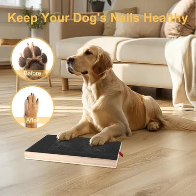 Planche à Gratter avec Boîte à Friandises pour Lime à Ongles