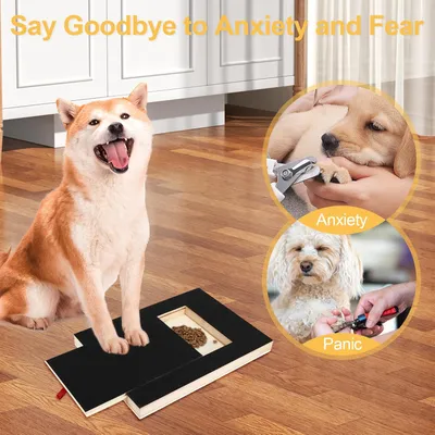 Planche à Gratter avec Boîte à Friandises pour Lime à Ongles