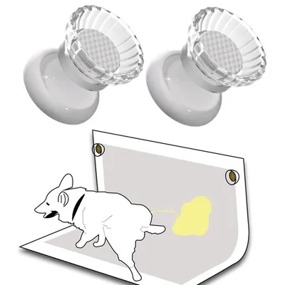 Support magnétique pour tapis éducateur