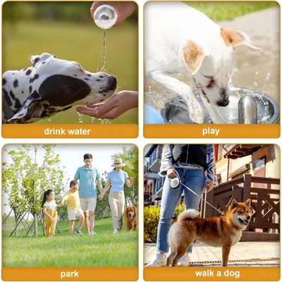 Gourde portative pour chiens en mouvement