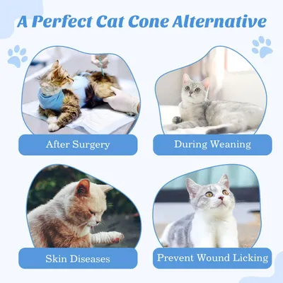 Combinaison post-opératoire pour chat Combinaison post-opératoire pour chat
