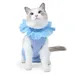 Combinaison post-opératoire pour chat