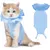 Combinaison post-opératoire pour chat Combinaison post-opératoire pour chat