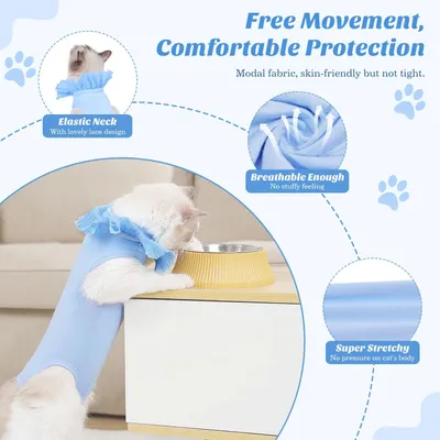 Combinaison post-opératoire pour chat Combinaison post-opératoire pour chat