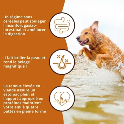 Wildfang Gourmet Box Adulte - Aliments secs