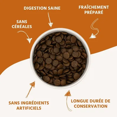 Wildfang Gourmet Box Adulte - Aliments secs