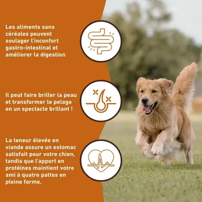 Wildfang Gourmet Box Adulte - Aliments secs