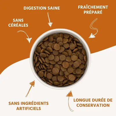 Wildfang Gourmet Box Adulte - Aliments secs