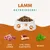Wildfang Gourmet Box Adulte - Aliments secs Wildfang Gourmet Box Adulte - Aliments secs