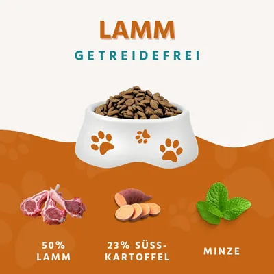 Wildfang Gourmet Box Adulte - Aliments secs Wildfang Gourmet Box Adulte - Aliments secs