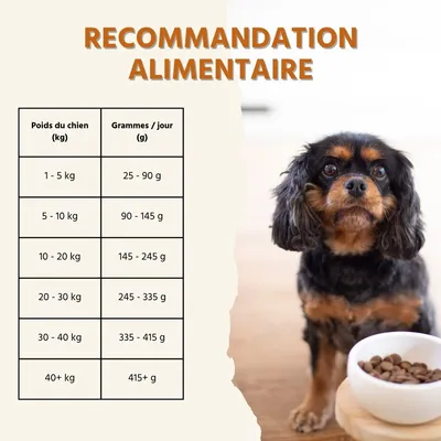 Wildfang Gourmet Box Adulte - Aliments secs