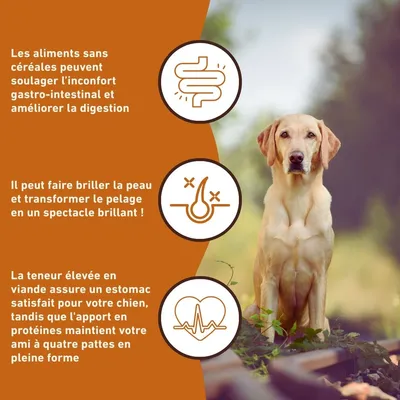 Wildfang Gourmet Box Adulte - Aliments secs