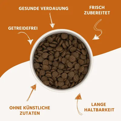 Wildfang Gourmet Box Adulte - Aliments secs Wildfang Gourmet Box Adulte - Aliments secs