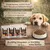 Wildfang Gourmet Box Adulte - Aliments secs Wildfang Gourmet Box Adulte - Aliments secs