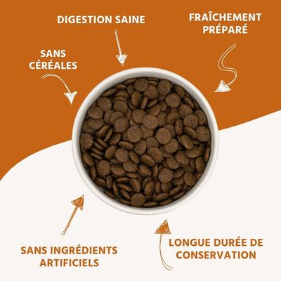 Wildfang Gourmet Box Adulte - Aliments secs