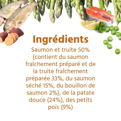 Wildfang Gourmet Box Adulte - Aliments secs