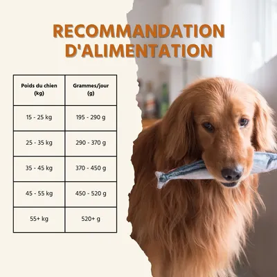 Wildfang Gourmet Box Adulte - Aliments secs