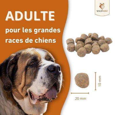 Wildfang Gourmet Box Adulte - Aliments secs