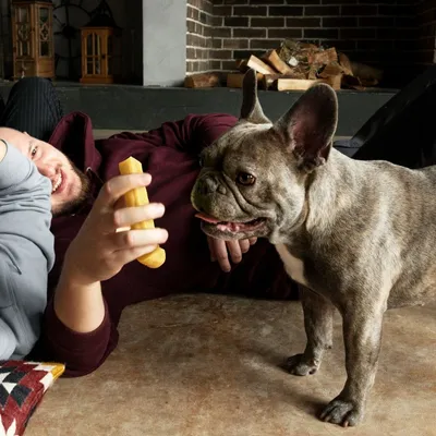 Wildfang Fromage à mâcher - bâton à mâcher au fromage à pâte dure