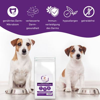 Wildfang - Aliment sec VetLine aux peptides pour chiens - Gastro-intestinal