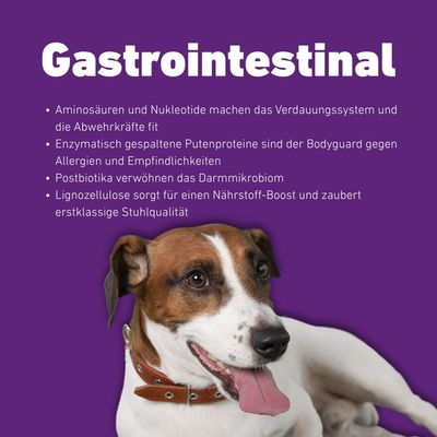 Wildfang - Aliment sec VetLine aux peptides pour chiens - Gastro-intestinal