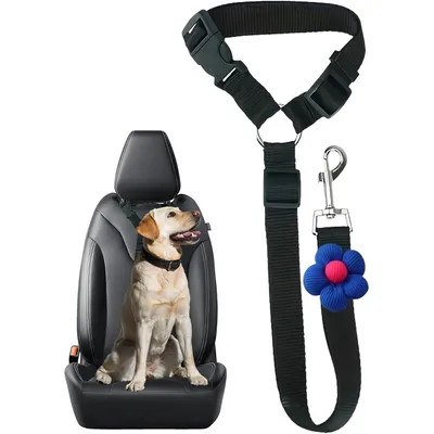 KPYTE Ceinture de sécurité pour chien en voiture