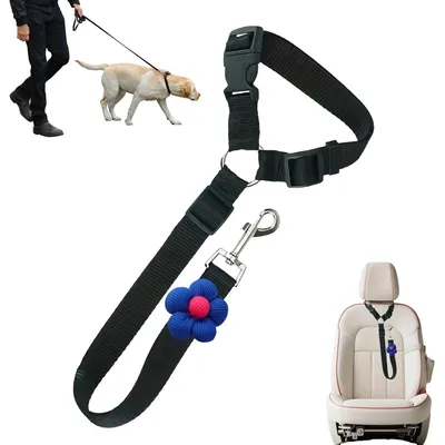 KPYTE Ceinture de sécurité pour chien en voiture