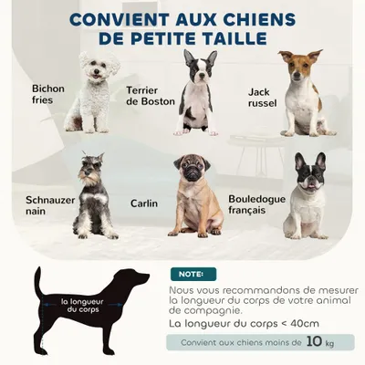Canapé pour chat et chien avec espace de rangement