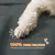 Canapé pour chien avec dossier et accoudoirs Canapé pour chien avec dossier et accoudoirs