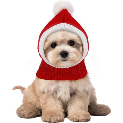 KPYTE Chapeaux de Noël pour chats et chiens