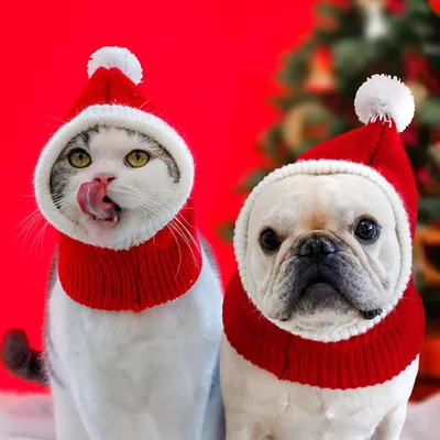 KPYTE Chapeaux de Noël pour chats et chiens