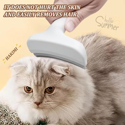 KPYTE Brosse à poils de chat en acier inoxydable