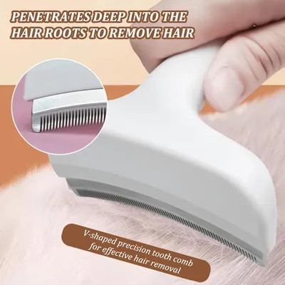 KPYTE Brosse à poils de chat en acier inoxydable