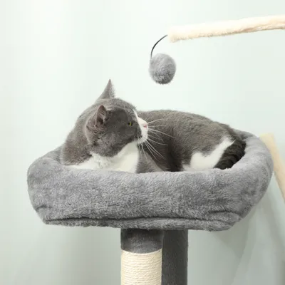 Arbre à chat avec griffoir et tapis en sisal