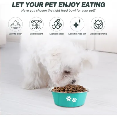 Gamelle pour chien en acier inoxydable