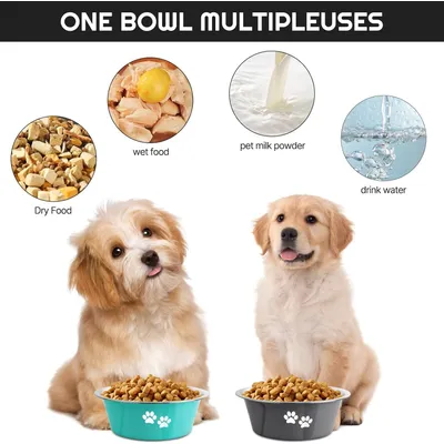 Gamelle pour chien en acier inoxydable
