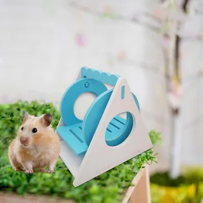 KPYTE Balançoire pour hamster