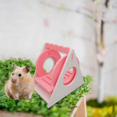 KPYTE Balançoire pour hamster
