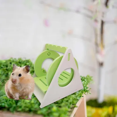 KPYTE Balançoire pour hamster