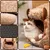 KPYTE Adorable tanière pour chat
