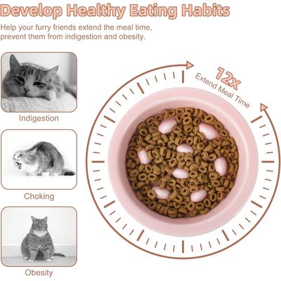 KPYTE Gamelles anti-ingestion pour chats et chiens