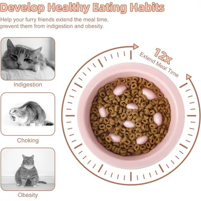 KPYTE Gamelles anti-ingestion pour chats et chiens