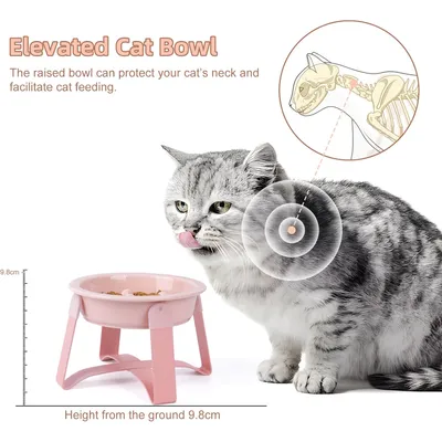 KPYTE Gamelles anti-ingestion pour chats et chiens