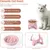KPYTE Gamelles anti-ingestion pour chats et chiens